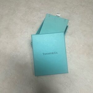 Tiffany & Co. Turquoise Box